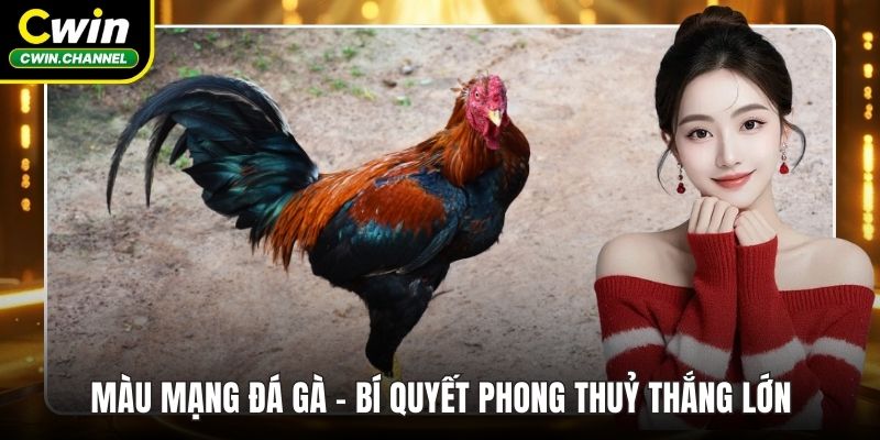 Màu mạng đá gà